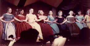 pin71_11.jpg (36940 bytes)